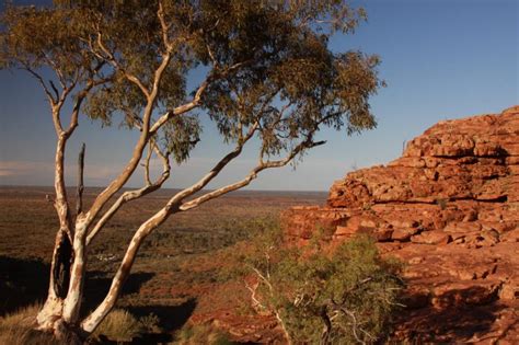 Discover the Soul of the Outback: Immerse Yourself in the Melodies of Australia’s Vast Heart