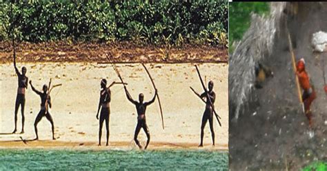 Primitive Island 的图像结果