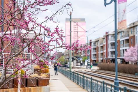 Charlotte Rail Trail