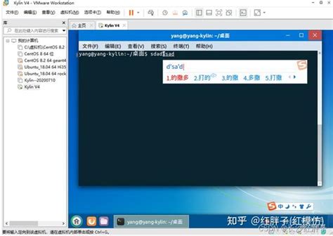 虚拟机安装中标麒麟桌面版7.0系统 + 升级Firefox浏览器 - 走看看