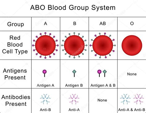 人的血型分类系统中有哪几种主要血型分类？求简要介绍？ - 知乎
