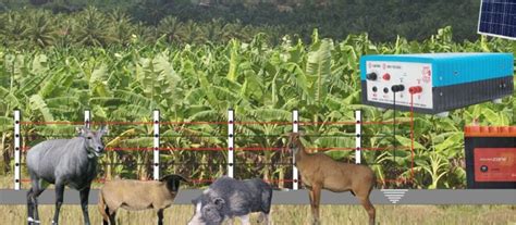 Zatka Machine - What Is It, Uses and Benefits! – Agri-Route