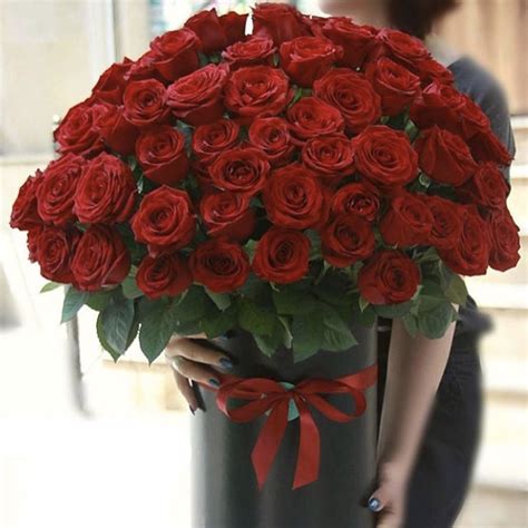 99朵玫瑰花预定-99朵玫瑰花推荐，让你们的爱长长久久-六朵花