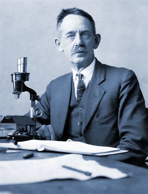 What Can a Cell Remember? | Quanta Magazine