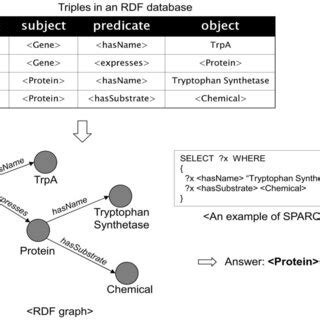 SPARQL Query 的图像结果