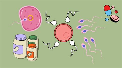 The Best Supplements to Increase Sperm Volume