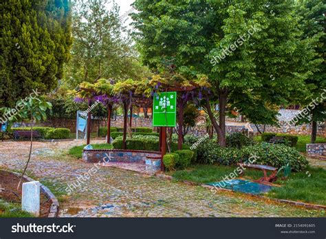 Tourist Meeting Local 的图像结果