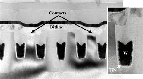 Global Local Bit Line 的图像结果