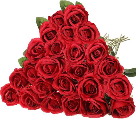 Amazon.com: Hotop 20 Pcs Artificial Rose Flowers with Long Stem,Real ...