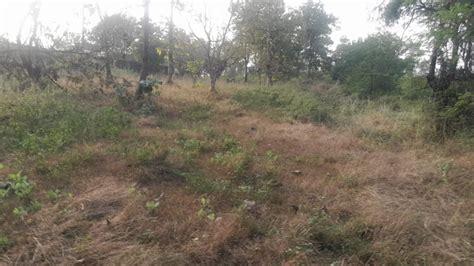 1 Guntha Agricultural/Farm Land for Sale in Murbad MIDC, Thane - by ...