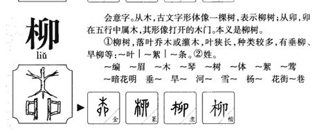 漢字「柳」の部首・画数・読み方・筆順・意味など