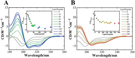 Salt-Induced Membrane-Bound Conformation of the NAC Domain of α ...