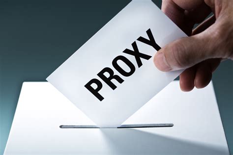 Proxy Voting Visual 的图像结果