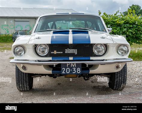 Lelystad, The Netherlands, 16.06.2024, Front view of the classic Shelby Mustang GT 500 from 1967 ...