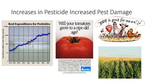Image result for Insecticide Effects