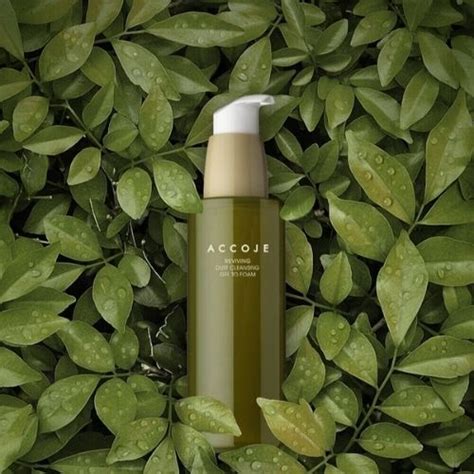 Buy Korean Skincare Online India – SheLC