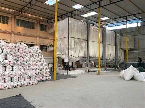 Candy Beans - Setner