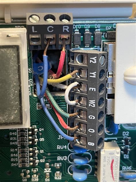 Nest Programming Tutorial 的图像结果