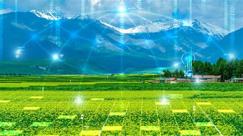 China's agriculture in the new era - CGTN