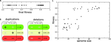 Fitness Landscape 的图像结果