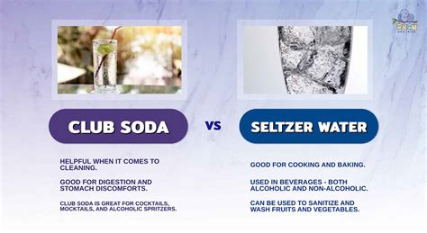 Club Soda vs. Seltzer Water: Key Differences You Need to Know
