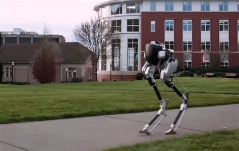 Walking Machine Robot 的图像结果