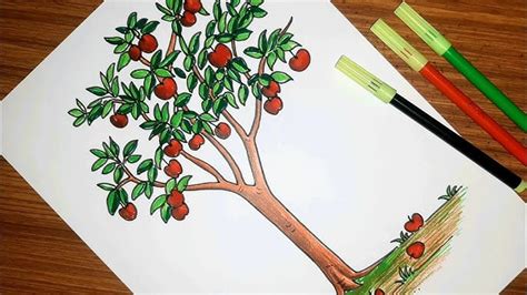 Image result for Simple Apple Tree Drawing