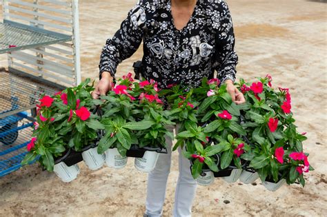 Low-Profile Tray | The HC Companies