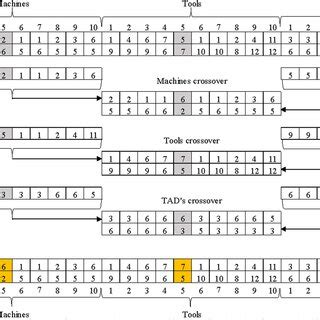 Image result for Crossover Table Genetic Algorithm