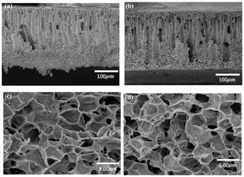 Temperature Dependence of the Pore Structure in Polyvinylidene Fluoride ...