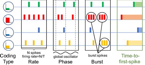 Image result for What Is Rate Coding