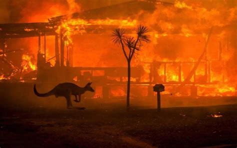 澳大利亚发生森林火灾时，为什么不人工降雨？_哔哩哔哩 (゜-゜)つロ 干杯~-bilibili