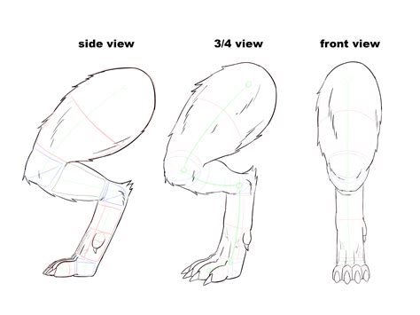 Image result for How to Draw a Werewolf Step by Step Tutorial