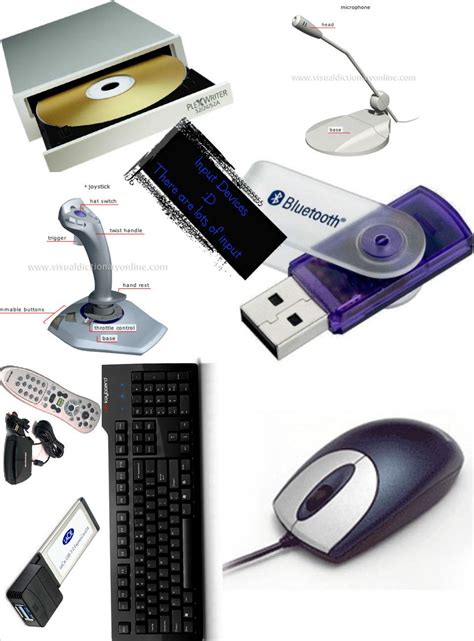 Input Hardware Devices 的图像结果