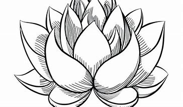 tutorial pencil drawing of flowers