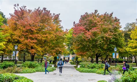 Campus Photos | UChicago News