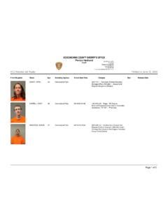 Blue Earth County Jail Roster Report | Jail roster | PDF4PRO