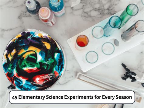 Elementary School Science 的图像结果