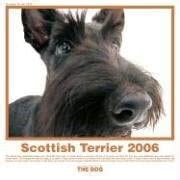 Buy The Dog Scottish Terrier 2006 Calendar (Artlist Collection) Book ...