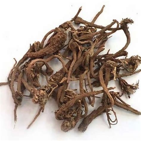 Wholesale Akarkara Roots Supplier,Akarkara Roots Exporter from Rewari India