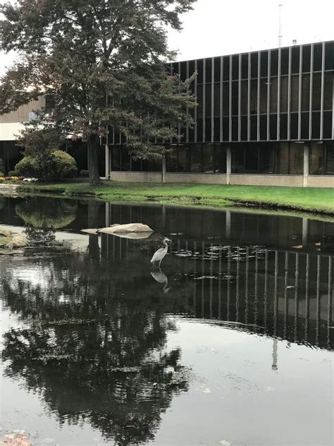 Siemens Healthineers Office Photos