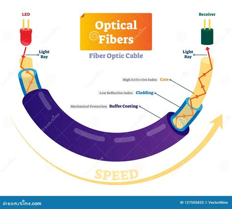 Is Fiber Optic Light Speed at Sandra Moody blog