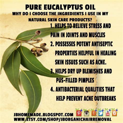 JBHomemade Sugaring and Skincare: 27 benefits of Eucalyptus and ...