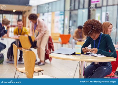 Busy Students 的图像结果