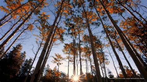 pyramid, jasper, park, alberta, National Parks, national, picnic, 2K ...