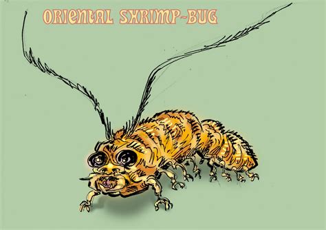 Is Shrimp a Bug? A Close Look at the Relationship Between Shrimp and ...