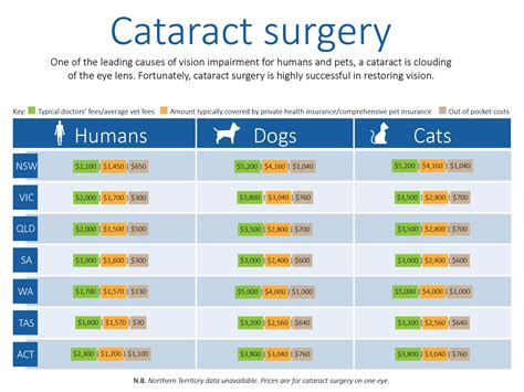 Dog eye cataract surgery cost online