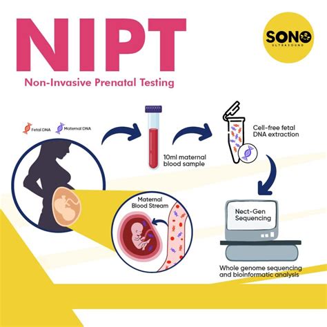 NIPT Test: Non-Invasive Prenatal Testing