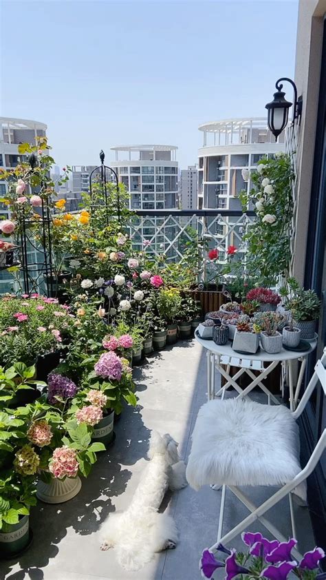 阳台怎样布置养花架子 想阳台有个性又美观那就这么干 - 装修保障网