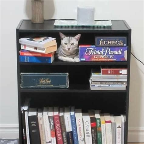 Culture Black and White 的图像结果